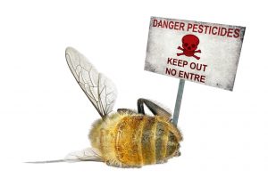 danger pesticides harmful - simple ways to help save the earth