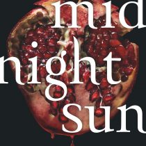 Midnight Sun Book