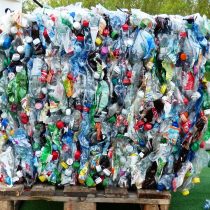 plastic-free july single-use water bottle pollution