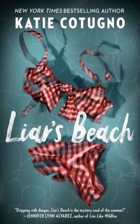 Liar's Beach book cover