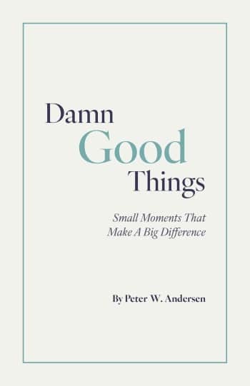 Damn Good Things book cover